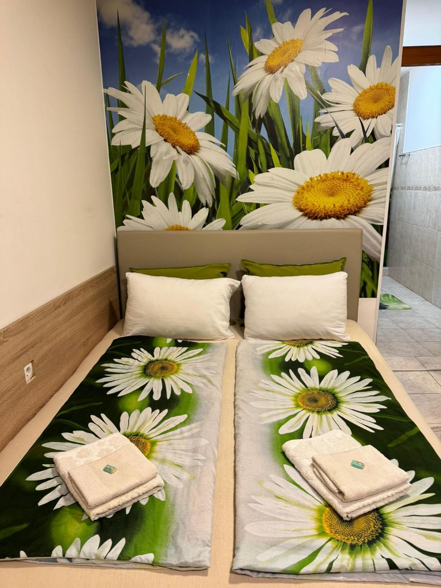 Nela Apartmani Ni المظهر الخارجي الصورة
