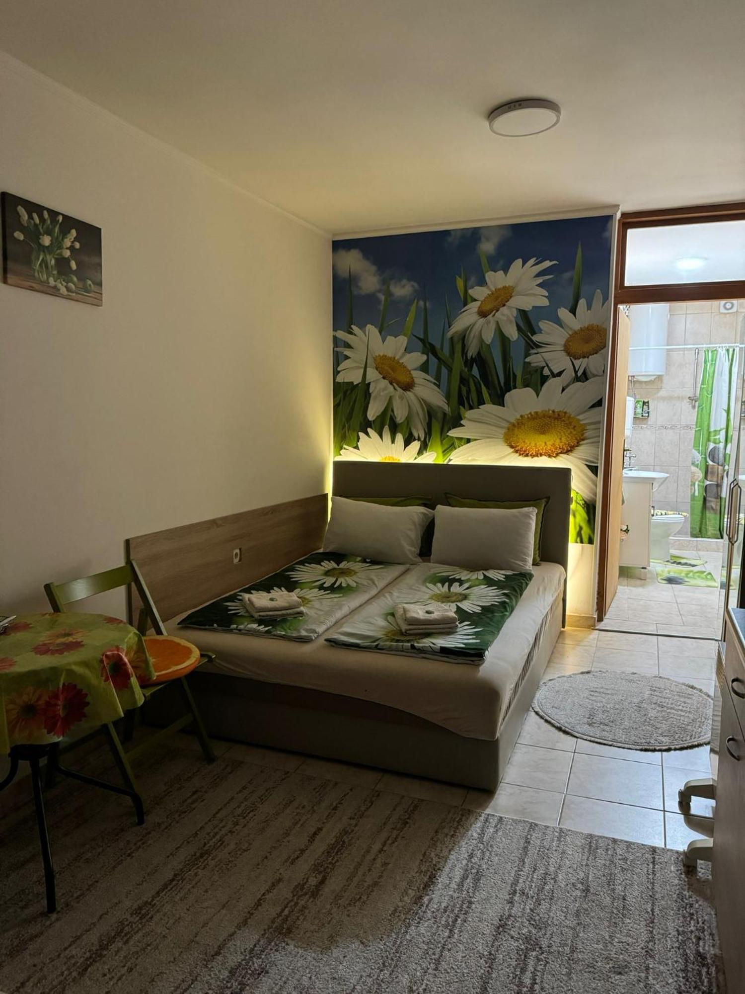 Nela Apartmani Ni المظهر الخارجي الصورة