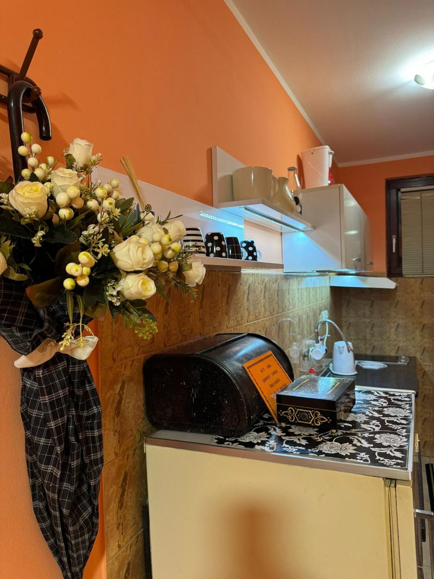 Nela Apartmani Ni المظهر الخارجي الصورة