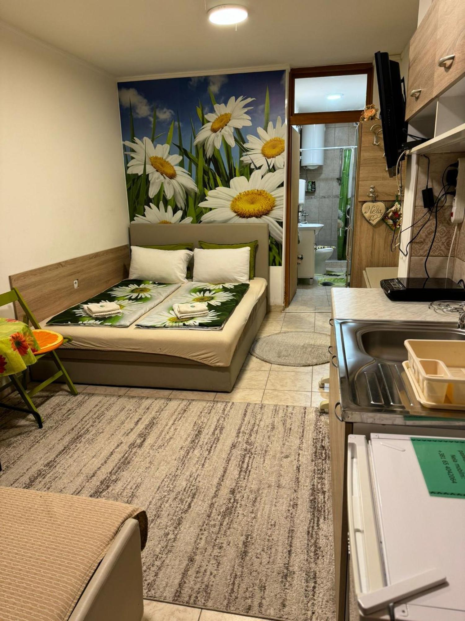 Nela Apartmani Ni المظهر الخارجي الصورة