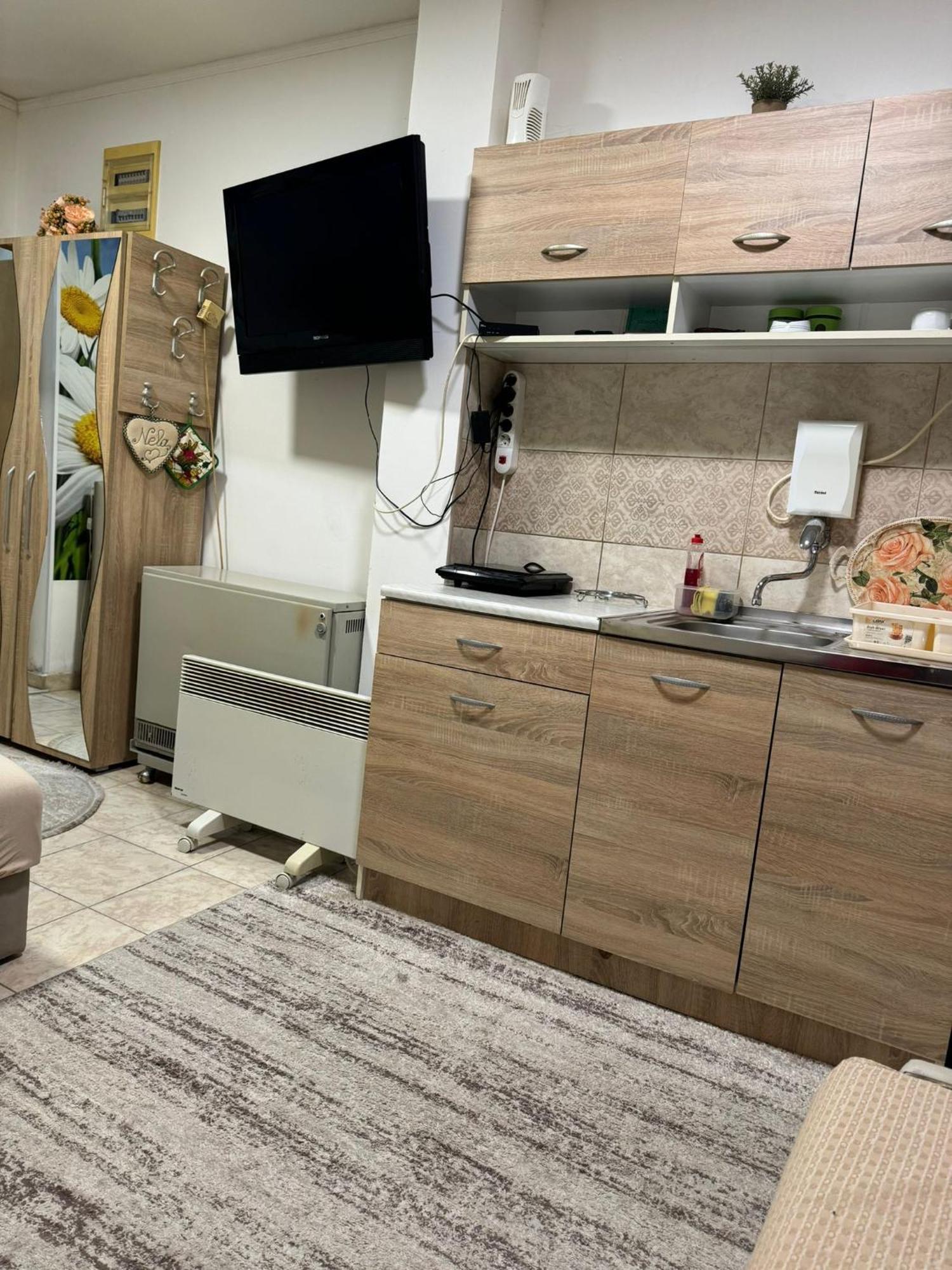 Nela Apartmani Ni المظهر الخارجي الصورة