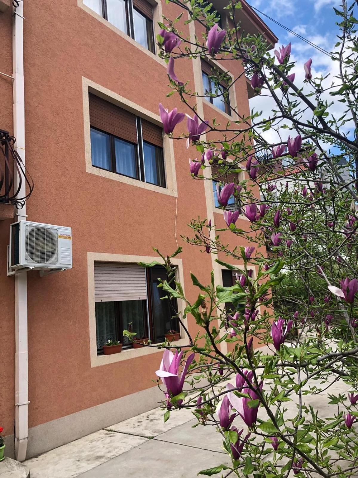Nela Apartmani Ni المظهر الخارجي الصورة